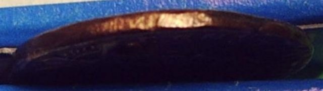 Costantino II Torre di guardia 236 d.C. (Roma)